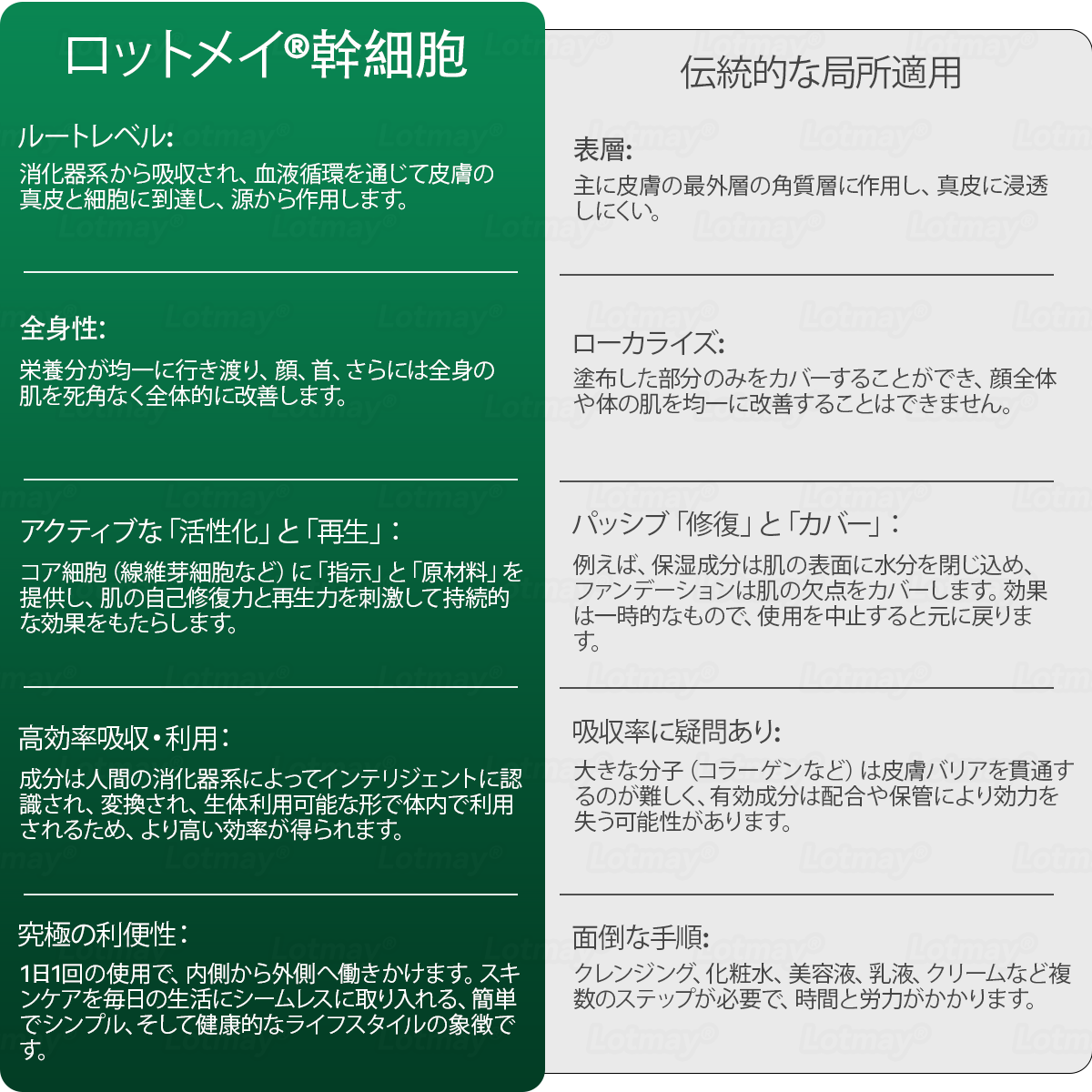 【代金引換だよ】𝐿𝑜𝑡𝑚𝑎𝑦® 幹細胞 と コラーゲンペプチド 経口 滴剤 💧 (たるんだ肌を引き締め、シワの形成を軽減) 🍀（副本）
